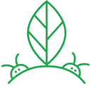 Vlaneo Logo