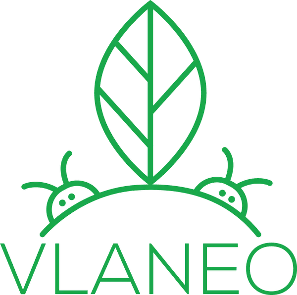 Vlaneo Logo